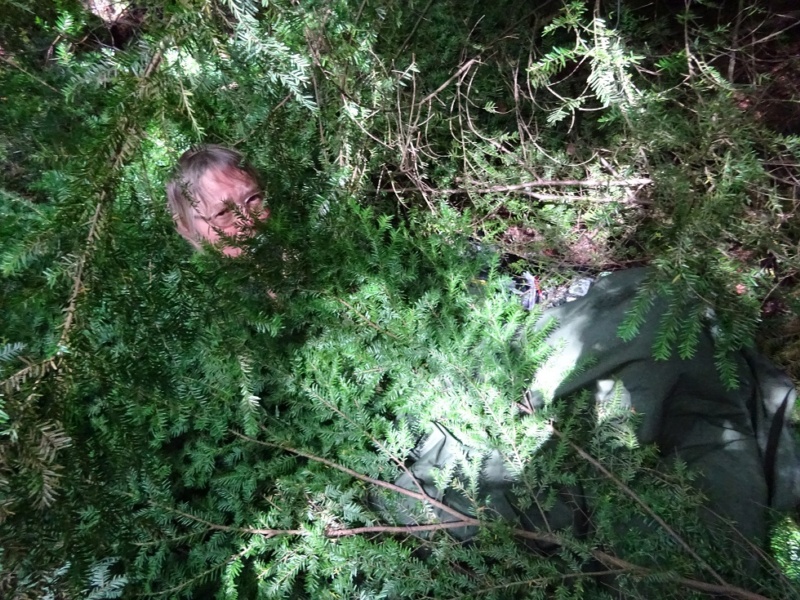 800x600 pixels (284K)