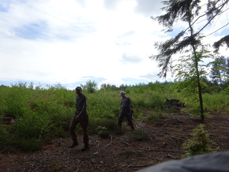 800x600 pixels (178K)