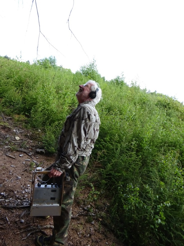 600x800 pixels (196K)