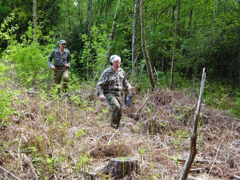 800x600 pixels (329K)