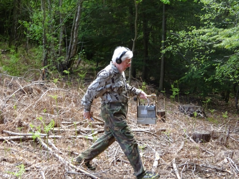 800x600 pixels (261K)