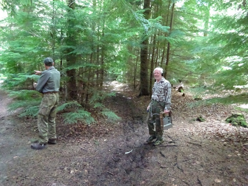 800x600 pixels (256K)