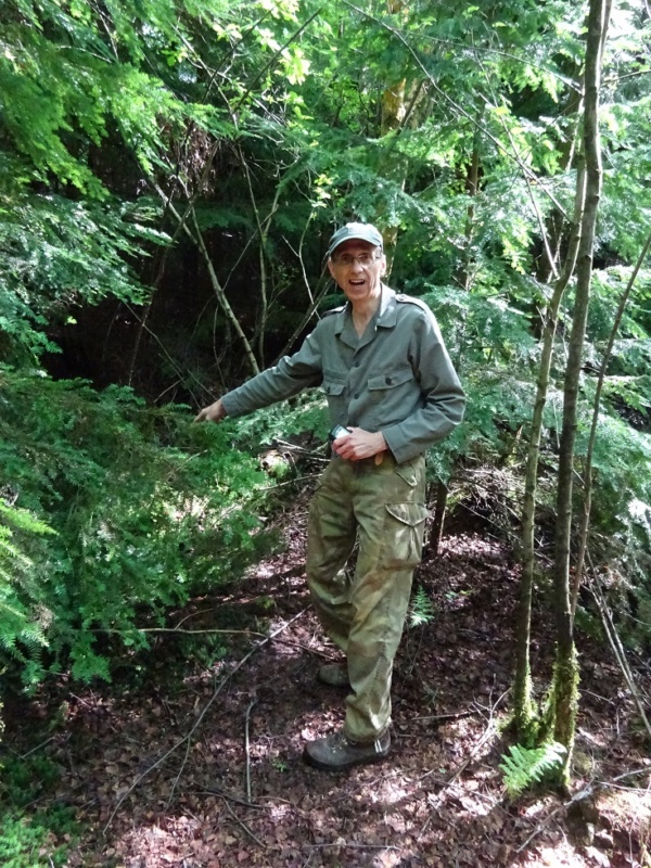 600x800 pixels (301K)