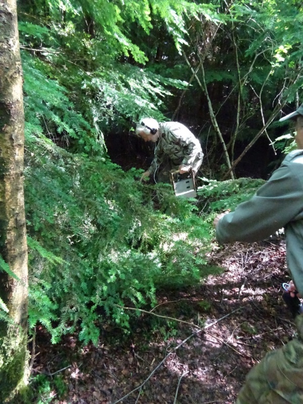 600x800 pixels (280K)