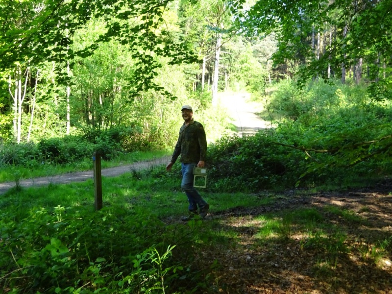 800x600 pixels (280K)