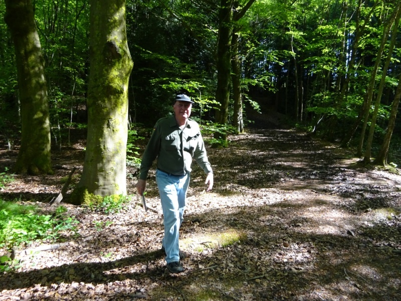 800x600 pixels (289K)