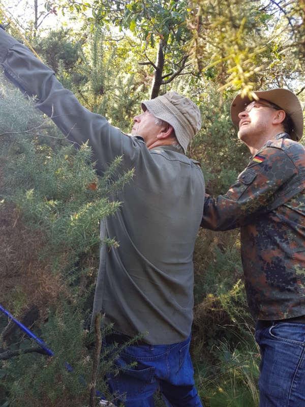 600x800 pixels (242K)