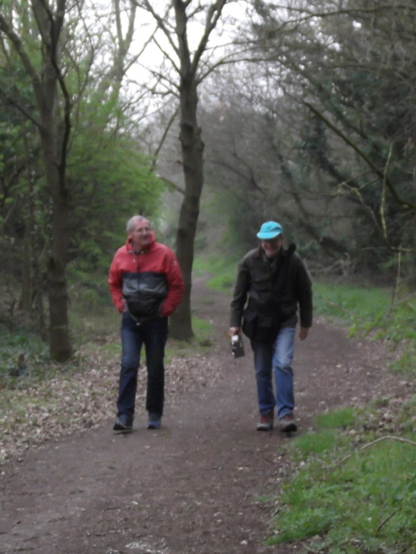 600x800 pixels (145K)