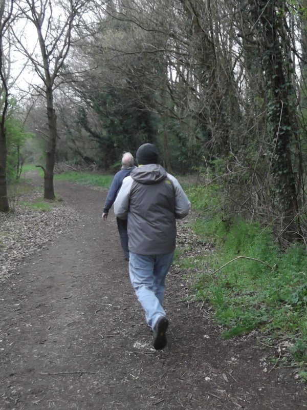 600x800 pixels (233K)