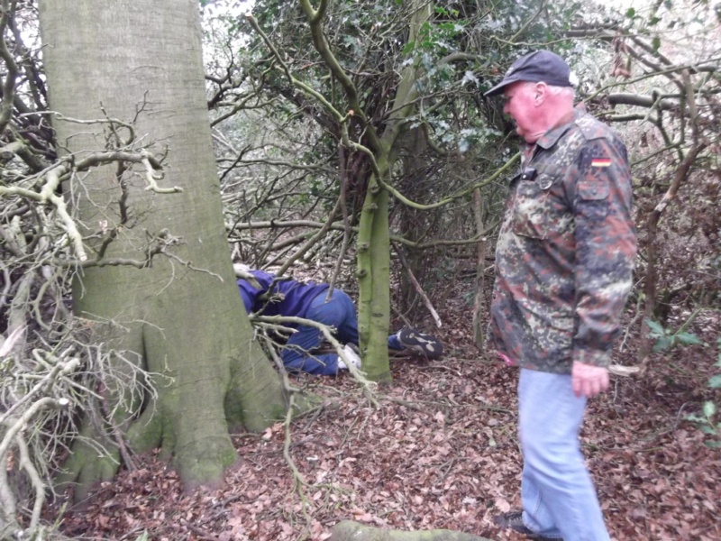 800x600 pixels (249K)