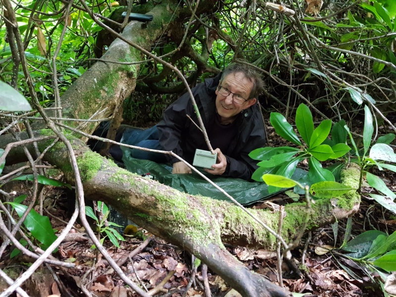 800x600 pixels (307K)