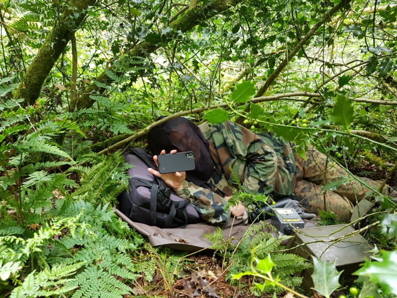 800x600 pixels (350K)