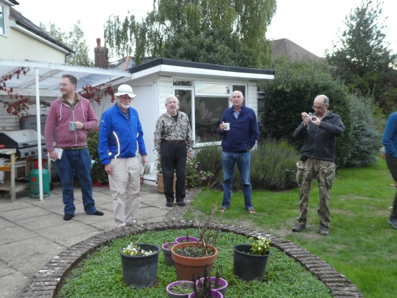 800x600 pixels (210K)